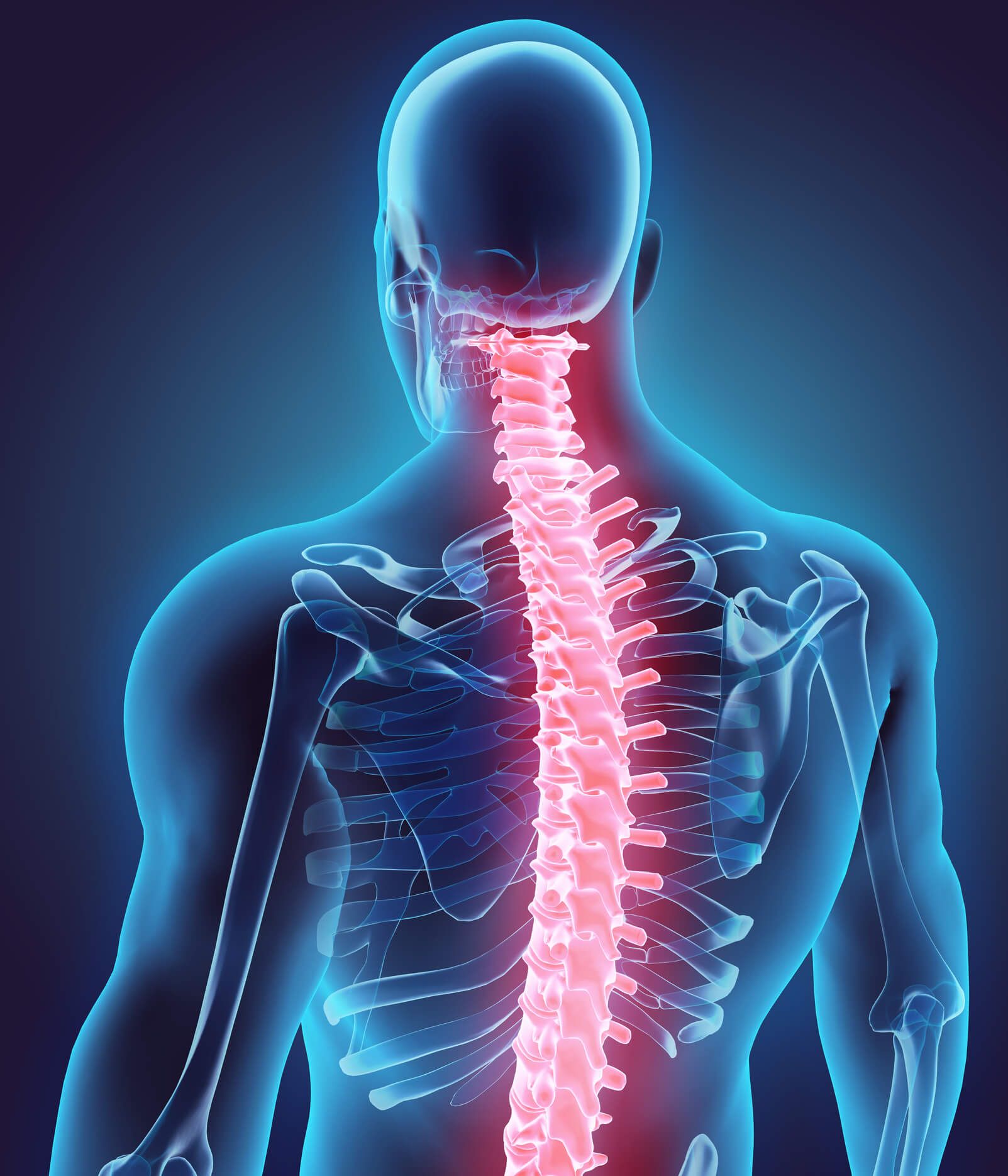 Understanding Back Pain: How Serious Is Your Condition?: Spine