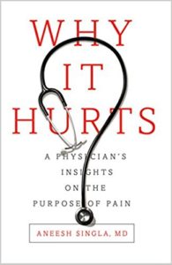 Why it Hurts book cover