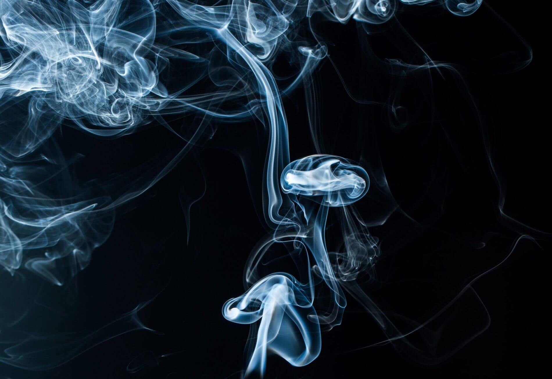 elfbar nachfüll pod läuft aus What Happens to Your Body When You Quit Smoking? Stages of Recovery & Tips main image 1